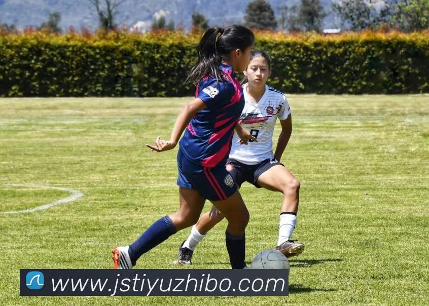 App Interface Preview